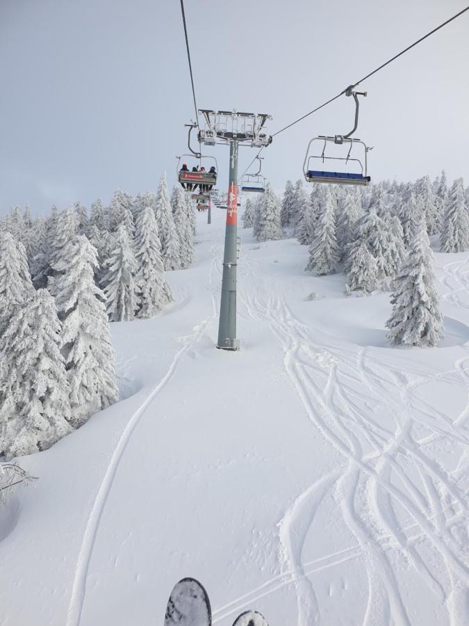 Apartman Kostic Kraljev Konak Kopaonik Exteriér fotografie